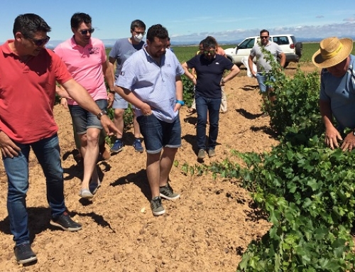 La Pequeña DO León inicia el proceso para certificar su territorio como Ruta del Vino