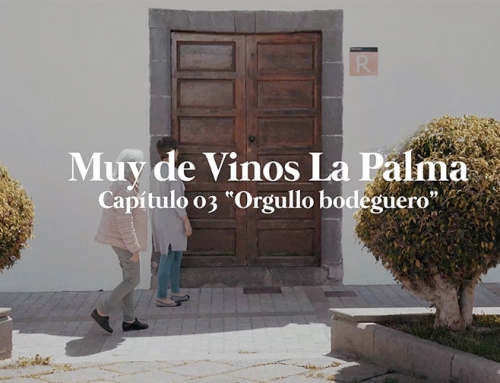 “Muy de Vinos” de la Pequeña DO La Palma, reportajes de esta Pequeña DO para poner en valor el esfuerzo de los viticultores y bodegueros de la isla
