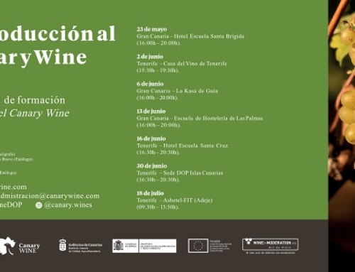 La Pequeña DO Islas Canarias, pone en marcha el curso “Introducción al Canary Wine”