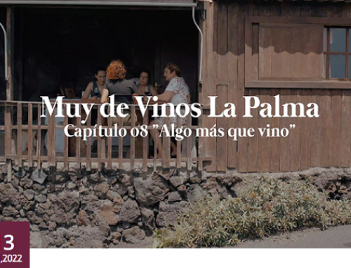 Algo mas que vino…nuevo capitulo de la serie de videos de la Pequeña D.O. La Palma
