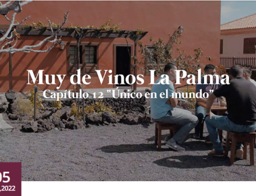 Nuevo video promocional de los vinos de la Pequeña DO La Palma, los vinos de Tea únicos en el mundo