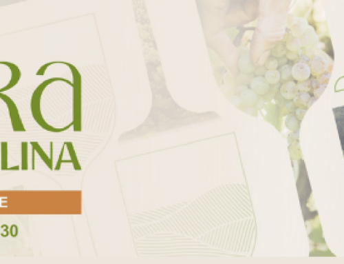 La Pequeña DO Txakoli de Bizkaia presenta el próximo 7 de noviembre su nueva categoría los Txakolis “Bereziak”