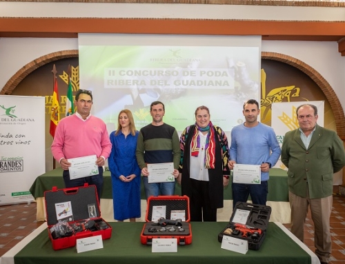 La Pequeña DO Ribera del Guadiana entrega los premios del 2ª concurso de poda Ribera del Guadiana