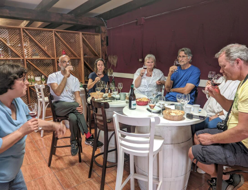 La Ruta del Vino de la Pequeña D.O. Gran Canaria destaca por sus visitantes internacionales entre las Rutas del Vino de España