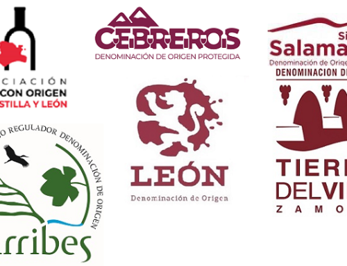 Nace con fuerza la Asociación con Origen Vinos de Castilla y León, que incluye las Pequeñas D.O.’s León, Arribes, Arlanza, Tierra del Vino, Valles del Benavente, Cebreros y Sierra de Salamanca