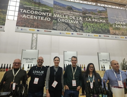 Gran éxito de las bodegas de la Pequeña D.O. Tacoronte-Acentejo en la cita “Barcelona Wine Week 2024”