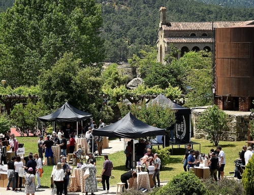 Vuelve Conectando Gredos, el evento organizado por la Pequeña D.O.P. Cebreros que reúne a los elaboradores de vinos “Made in Gredos”