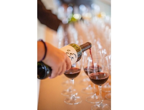 Hoy miércoles, cata de vinos de la Pequeña DO Binissalem en el Salón Gourmet