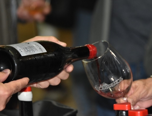 Vinytavila, el evento de los vinos abulenses organizado por la Pequeña DO Cebreros