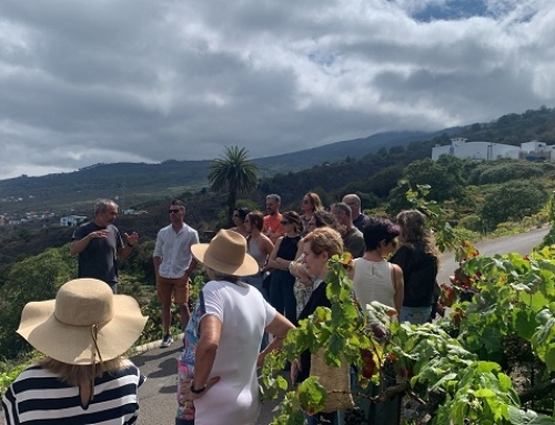 Gran éxito de la jornada de puertas abiertas de las bodegas de la Pequeña D.O. Canary Wine con “Descorcha Canarias”