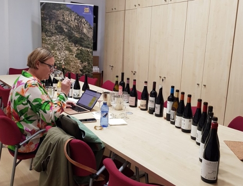 La crítica de vinos Beth Willard, colaboradora de Tim Atkin para los vinos españoles, recorre la Pequeña D.O. Ribeira Sacra