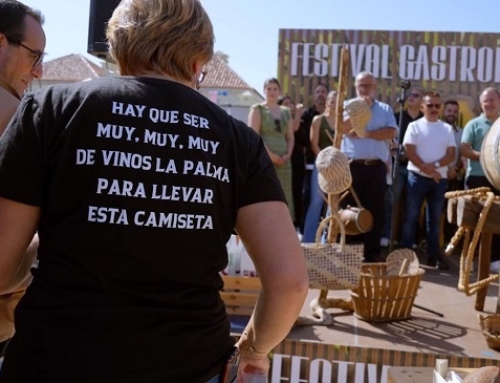 La Pequeña DO La Palma acogió la celebración de la festividad de San Martín 2024 con una ruta enoturística por el municipio de Fuencaliente