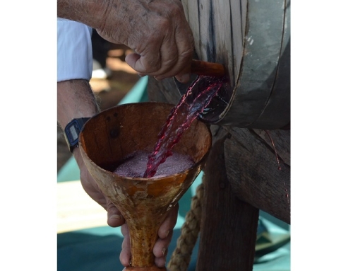 La Tradicional “JURA DE LA PIPA” de San Martín, organizada por la Pequeña DO La Palma se celebrará este sábado 9 de noviembre n Fuencaliente