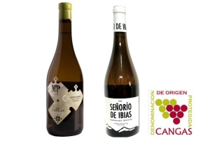 9-4-25 cangas
