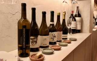18-6-25 txakoli bizkaia