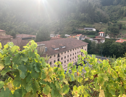 Ultimos días para inscribir sus vinos en la 9ª edición del Concurso Nacional de Vinos de Pequeñas D.O.’s que este año celebraremos en el Monasterio de Corias en Cangas del Narcea (Asturias)