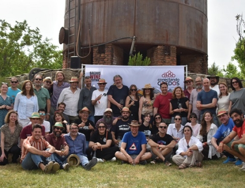 Conectando Gredos 3.0: Éxito rotundo de la mayor concentración de vinos de Gredos de la historia, con bodegas de las 3 Pequeñas D.O.’s de la zona, Cebreros, Méntrida y Vinos de Madrid