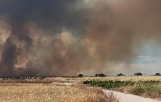 18-7-25 incendio