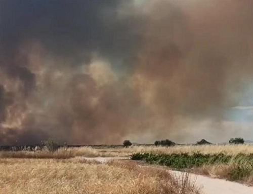 Las Pequeñas D.O.’s Méntrida y Madrid (subzona de Navalcarnero) afectadas por un grave incendio