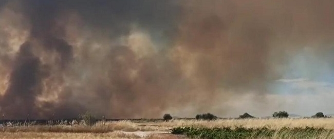 18-7-25 incendio