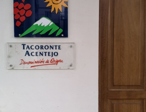 La Pequeña D.O. Tacoronte-Acentejo comparte los criterios de control determinados por el Gobierno de Canarias y el Cabildo de Tenerife ante la presencia de filoxera