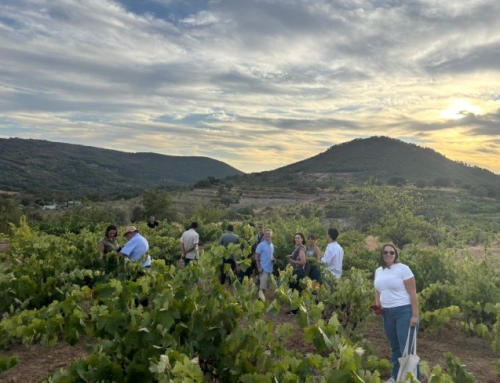 Las Rutas del Vino de las Pequeñas D.O.’s Gran Canaria y Sierra de Salamanca, aúnan esfuerzos para encontrar sinergias