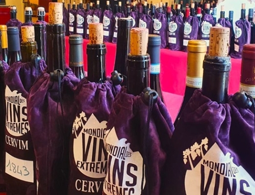 Siete bodegas de la Pequeña DO Tacoronte Acentejo obtienen Medallas en la 33ª edición del “Mundial de Vinos Extremos”