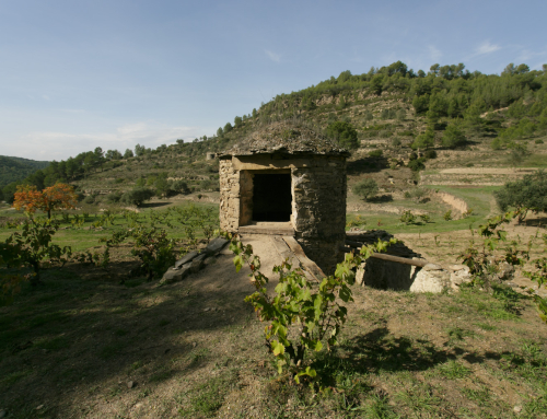 La Pequeña DO Pla de Bages cumple 30 años con una cata bajo el lema “Pla de Bages, territorio con Memoria, Vinos con futuro”