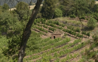 18-11-2025 pladebages