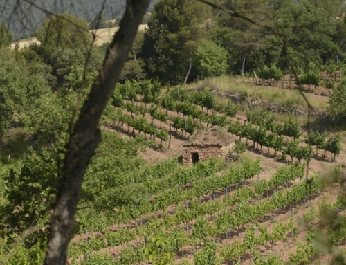 Manresa toma el relevo de Andorra para organizar la Jornada de la Piedra Seca, patrimonio cultural de la Pequeña DO Pla de Bages, en 2027