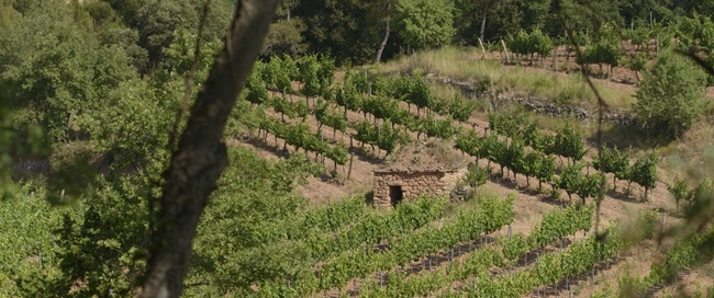 18-11-2025 pladebages