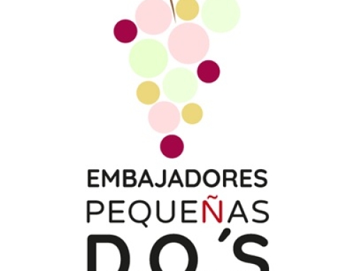 Abierto el plazo de inscripción del 1er Curso de Embajador de Vinos de Pequeñas D.O.’s para dar a conocer entre profesionales y “wine lovers” las pequeñas regiones vinícolas españolas