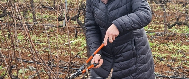 16-1-26 riberadelguadiana