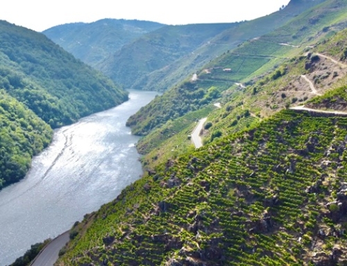 La Pequeña DO Ribeira Sacra colabora con los viticultores para la solicitud de ayudas para conservar el paisaje