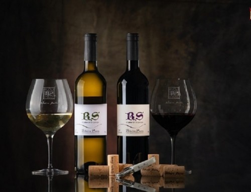 La Pequeña D.O. Ribeira Sacra elegida como la tercera mejor D.O. de España en los Premios Verema