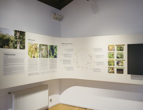 Mendibile Jauregia renueva el espacio expositivo de la Pequeña D.O. Bizkaiko Txakolina y amplía su programación