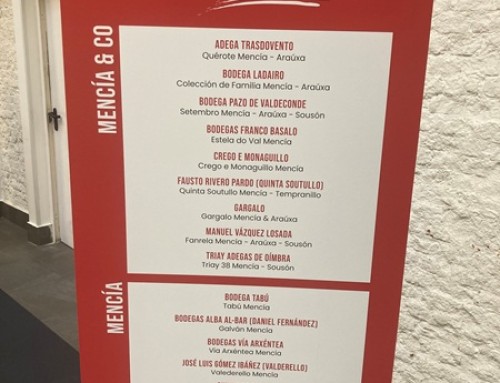 La Pequeña Monterrei presenta su Túnel del vino en Madrid