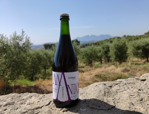 La Pequeña DO Pla de Bages brilla en los Premios Vinari con sus burbujas más innovadoras