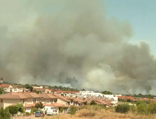 El fuego devora la Pequeña D.O. Vinos de Madrid, especialmente en la subzona de San Martin y las Pequeñas D.O.’s de Méntrida y Cebreros