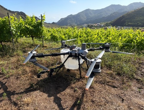 La Pequeñas D.O.’s Canary Wine, Ribera Sacra y Priorat participan en la viticultura del futuro