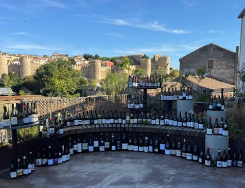 SURCO Ávila reúne a grandes nombres de la gastronomía y el vino a favor de Gredos Vivo
