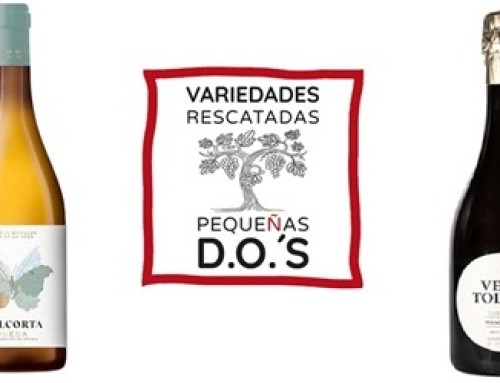 Razones por las que las bodegas deben asistir al “1er Salón de Variedades Rescatadas”