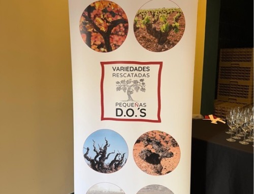 10 Variedades Rescatadas se presentan en Madrid en el 1er Salón de Variedades Rescatadas celebrado el pasado 26 de octubre en el Espacio Madrazo